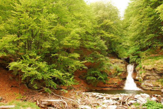 625701 (a): :2640x1760